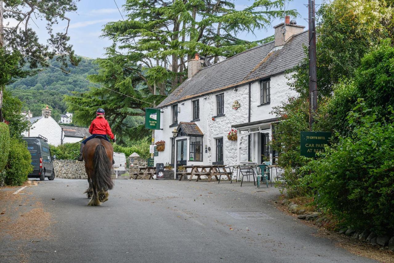 Swan Llangelynin (Conwy)